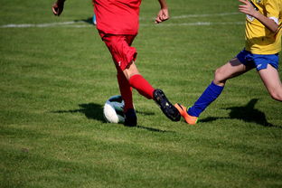 九游体育网页登陆-国际足球俱乐部青训论坛在广州召开，国际足联青训补偿标准